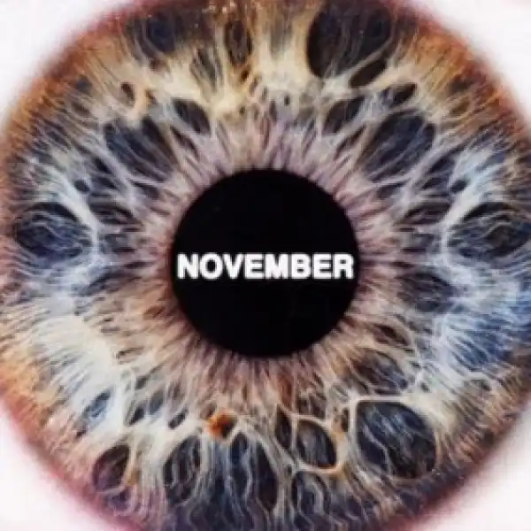 November BY SiR